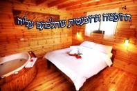 דקל הגולן